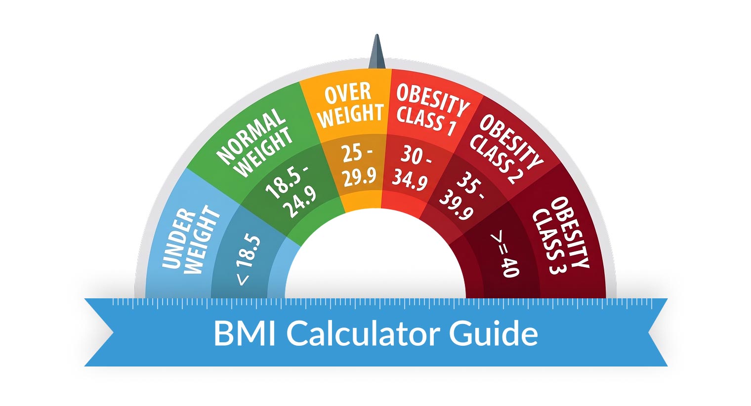 A BMI meter showing all BMI categories followed in the UK