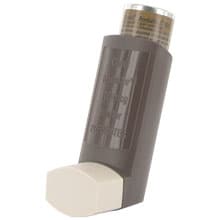 Clenil® Modulite® 100mcg inhaler preventer